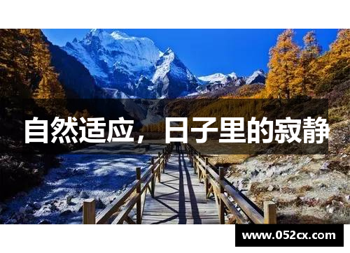自然适应，日子里的寂静